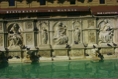 Siena11