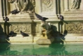 Siena12