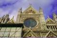 Siena20