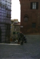 Siena24