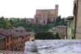 Siena27