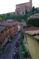 Siena28