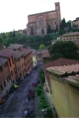 Siena29