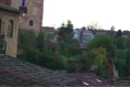 Siena31