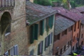 Siena32