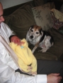 IMG 0279