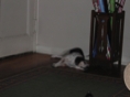IMG 0907