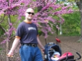 IMG 0513