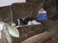 IMG 0529