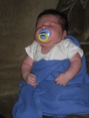 IMG 0531
