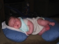 IMG 0579