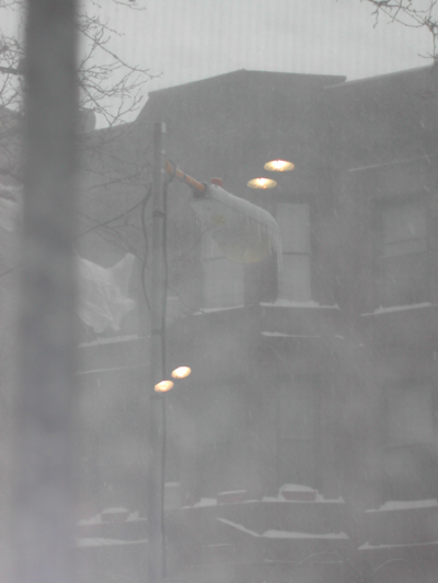 Blizzard01