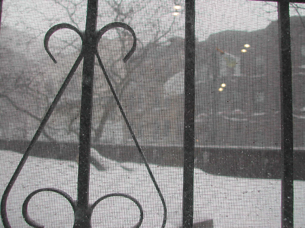 Blizzard02