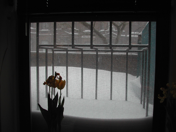 Blizzard03