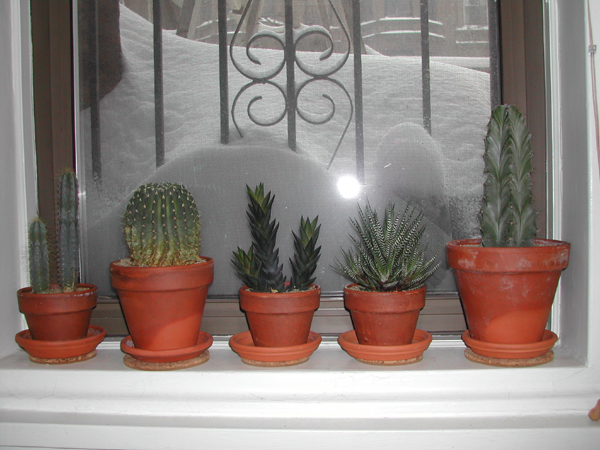 Blizzard04