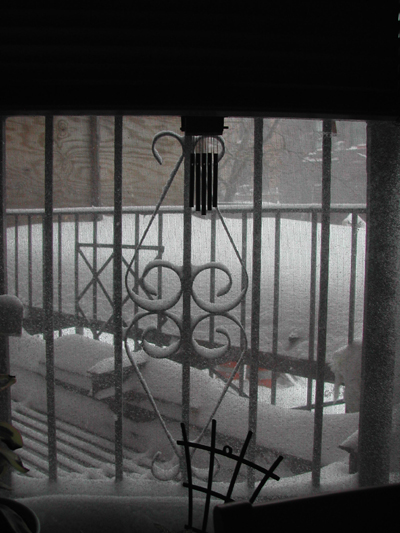 Blizzard05