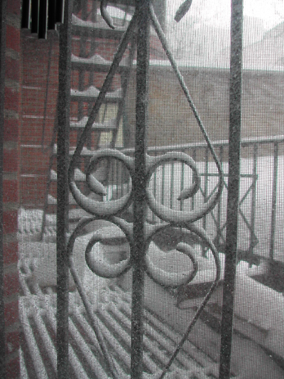 Blizzard06