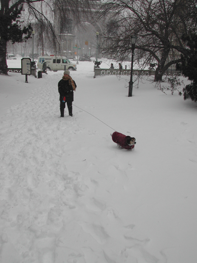 Blizzard11