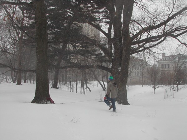 Blizzard14