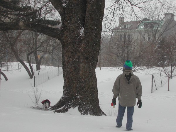 Blizzard16