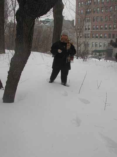 Blizzard20