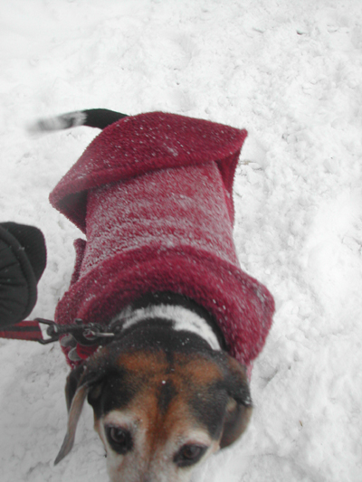 Blizzard22
