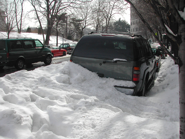 Blizzard24