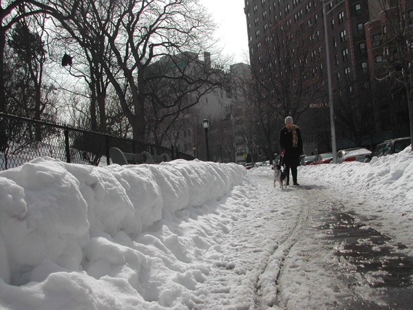 Blizzard28