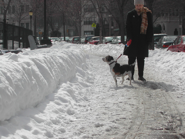 Blizzard29