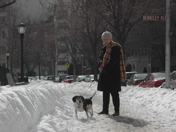 Blizzard30