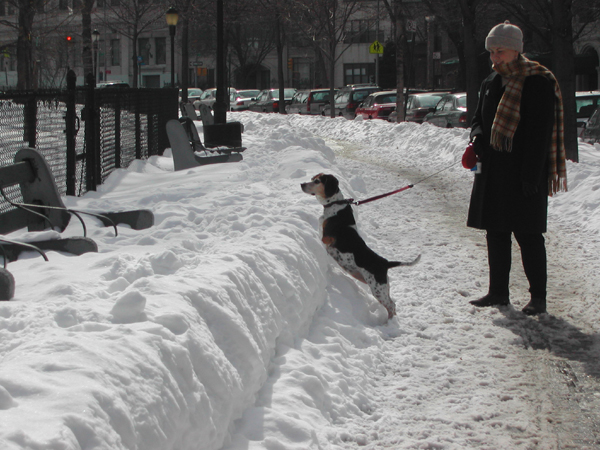 Blizzard31