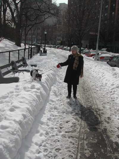 Blizzard33