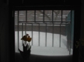 Blizzard03