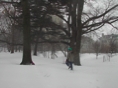 Blizzard14
