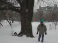 Blizzard16