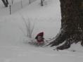 Blizzard17