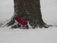 Blizzard18