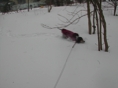 Blizzard19