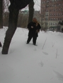 Blizzard20