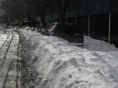 Blizzard26