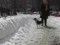 Blizzard29