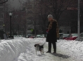 Blizzard30