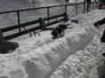 Blizzard32