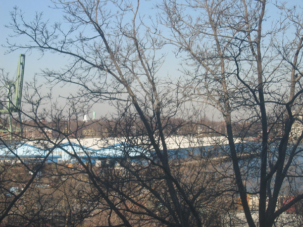 IMG 0145