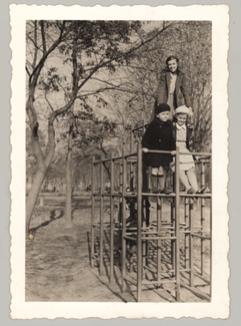 monkeybars