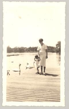 vin alice swans