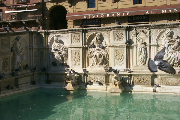 Siena10
