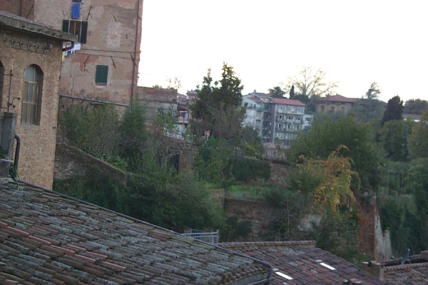 Siena31