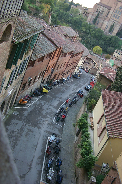 Siena33