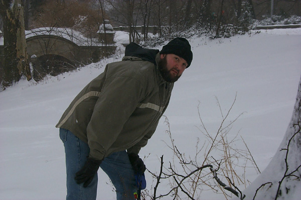 SnowyGArch